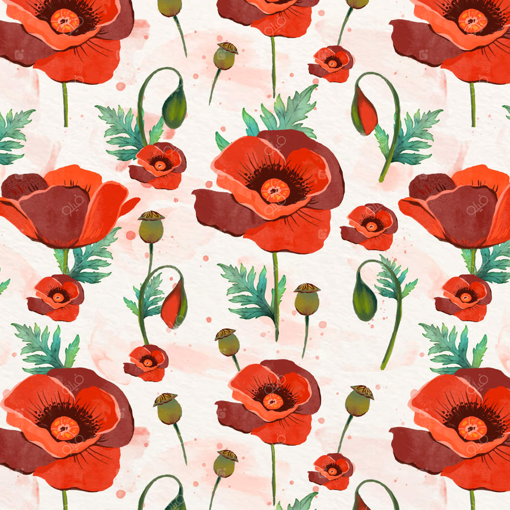 تصویرسازی گل شقایق با آبرنگ