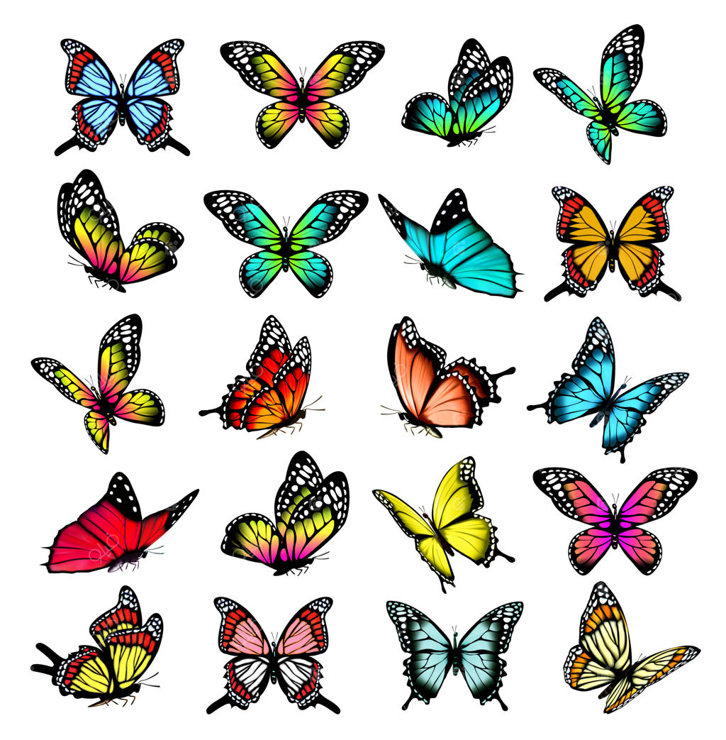 مجموعه وکتور پروانه‌های رنگارنگ در حال پرواز به جهات مختلف و طرح سیلوئت