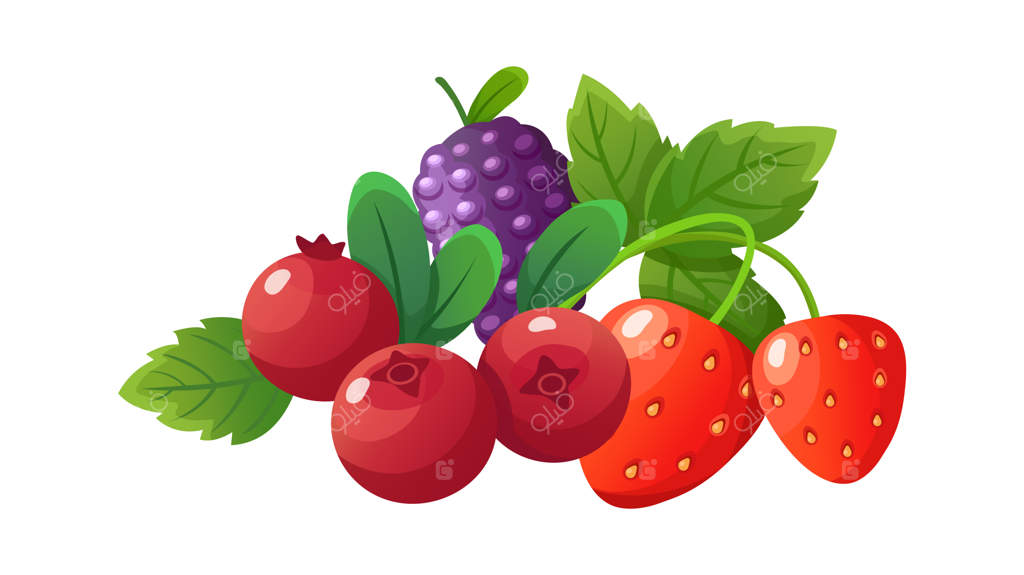 توت‌های کارتونی: تصویر وکتور از ترکیب انواع توت‌های تازه و مجلسی مثل توت‌فرنگی، کرنبری و بلک‌بری برای دسر وگان فصلی غنی از ویتامین‌ها