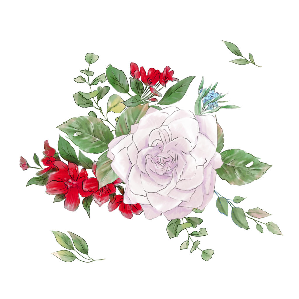 مجموعه بزرگی از آبرنگ‌های گل رز لطیف