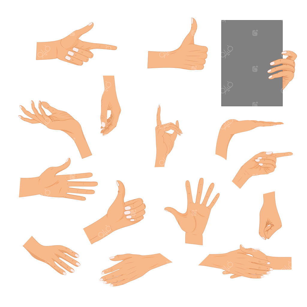 مجموعه ژست‌های مختلف دست به صورت جدا شده؛ ست دست‌های رنگی با ناخن‌های مانیکور شده