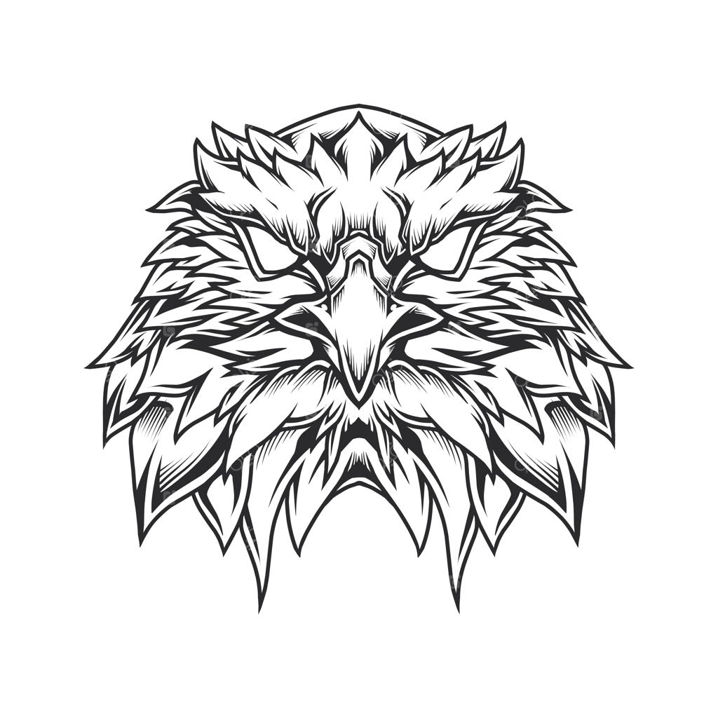 تصویرسازی خطی سر عقاب