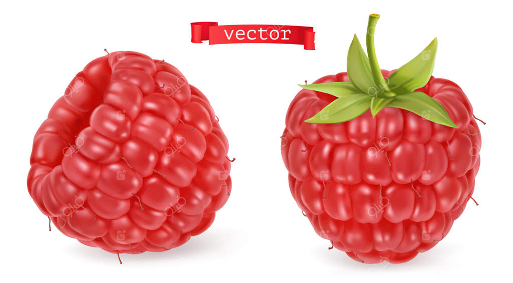 مجموعه‌ای از تصاویر تمشک قرمز