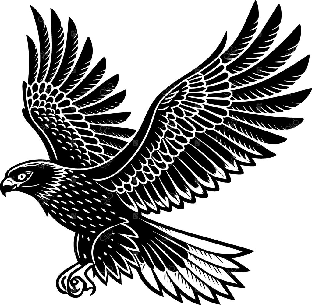 طرح خطی ضخیم شاهین باشکوه در حال پرواز برای طراحی تاتو و تصویرسازی سفارشی