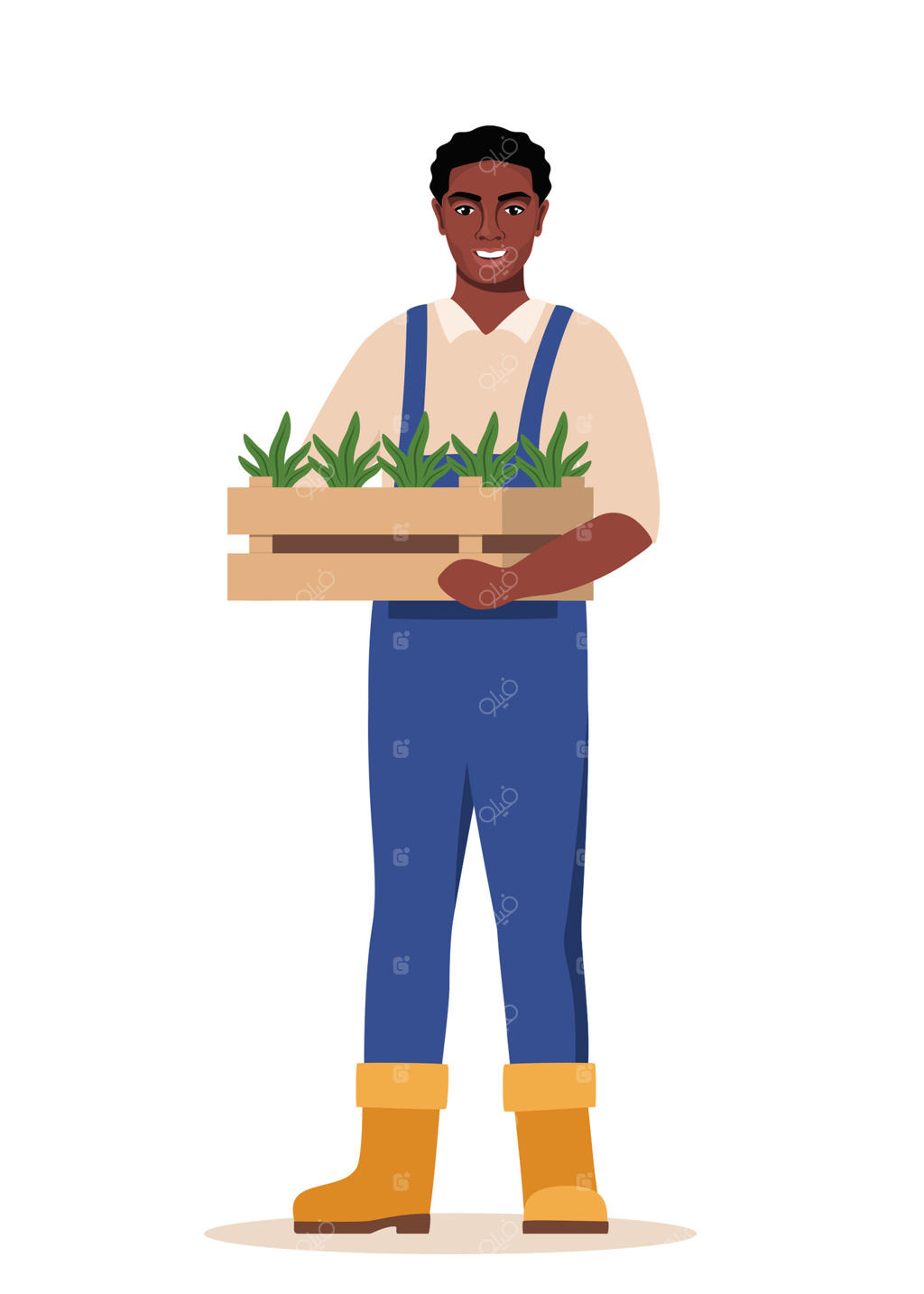 کشاورز سیاه‌پوست جعبه‌ای از نهال‌ها را در دست دارد. کار کشاورزی، باغبانی و زراعت. پوستر یا تصویرگری.