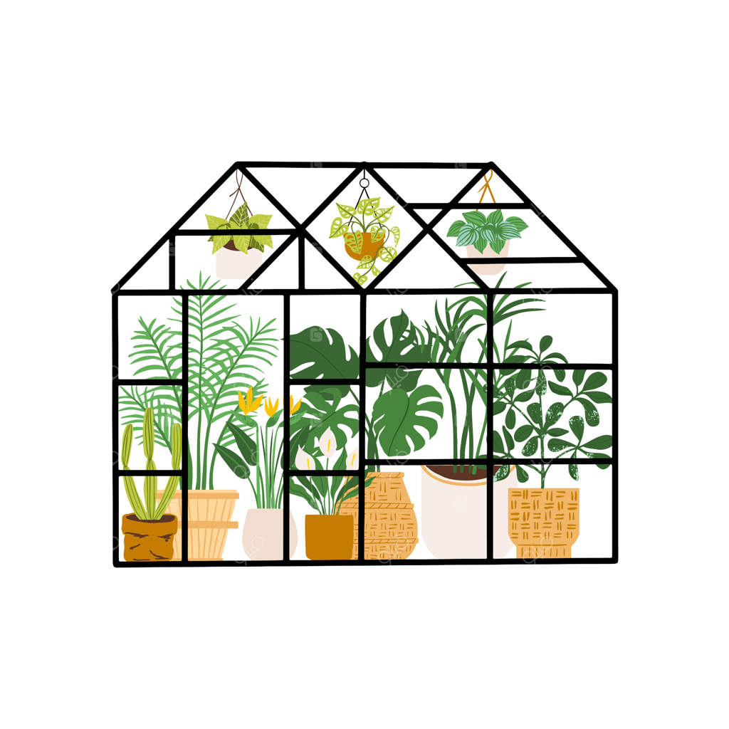 کاشت در گلخانه: شیشه‌ای، باغ گیاه‌شناسی و باغبانی خانگی با گل‌ها و گیاهان گلدانی. گیاهان آویز و رشد سرسبزی در گلدان‌ها