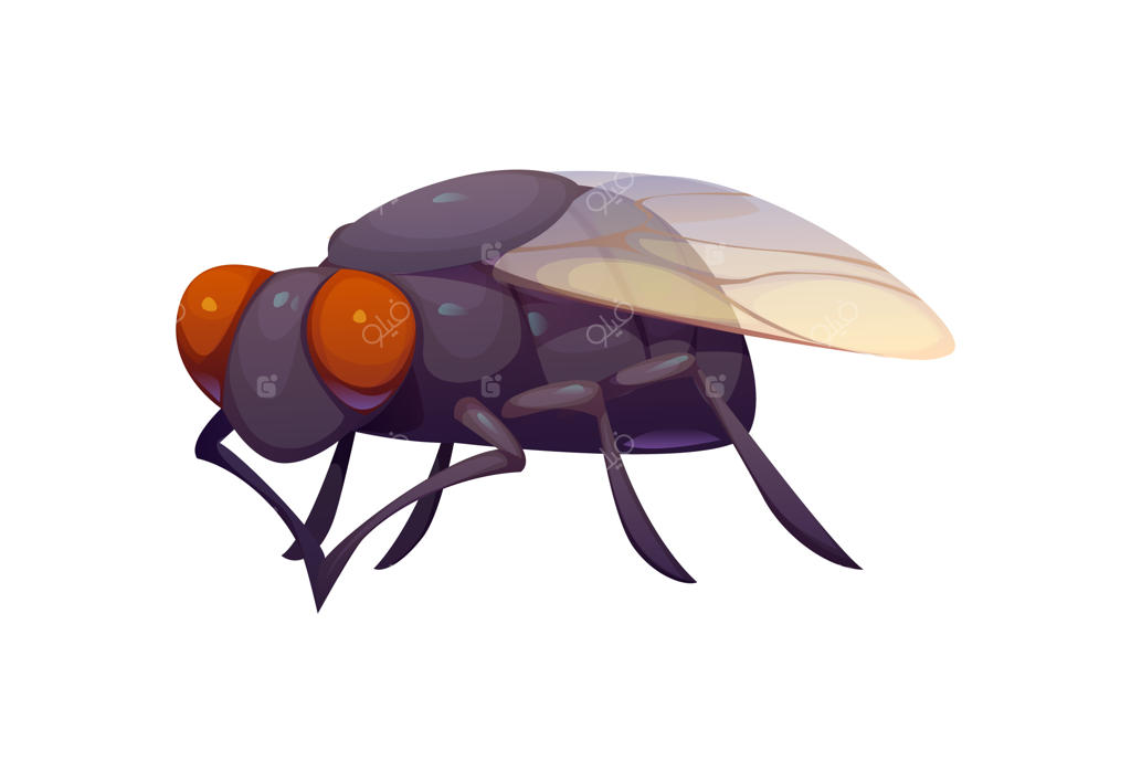 شخصیت کارتونی حشره مگس خنده‌دار با چشمان درشت