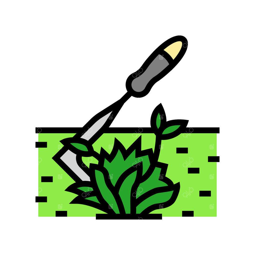 نگهداری باغچه و گلکاری - تصویر رنگی