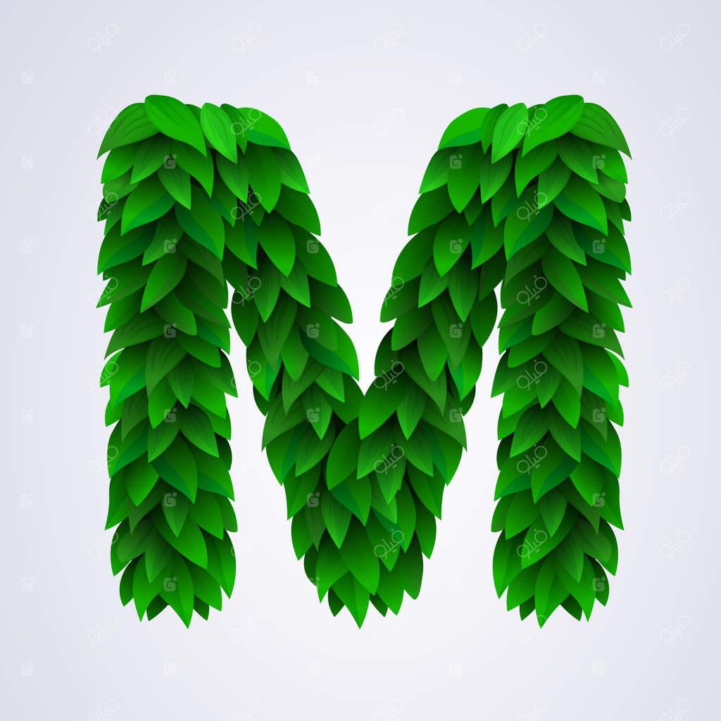 حرف M ساخته شده از برگ‌های تازه سبز