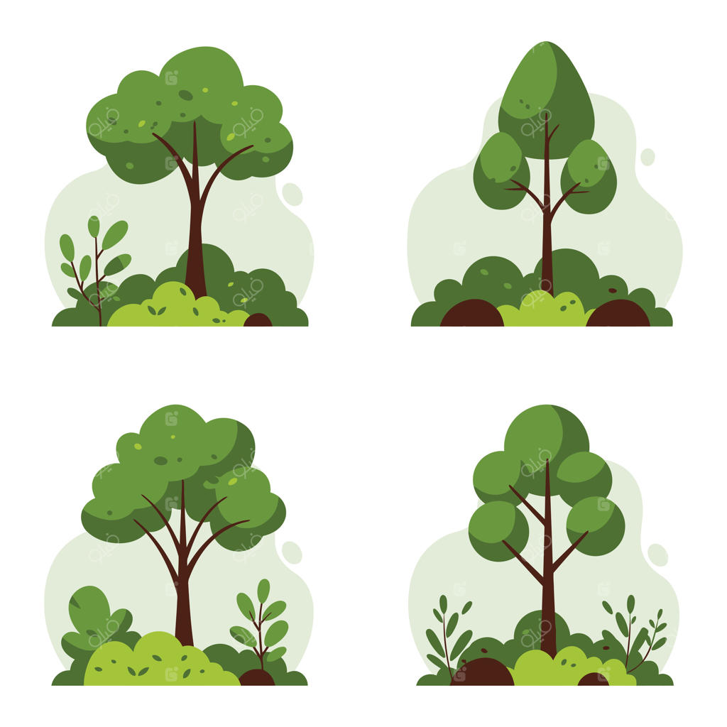 چهار نوع مختلف از درختان و گیاهان