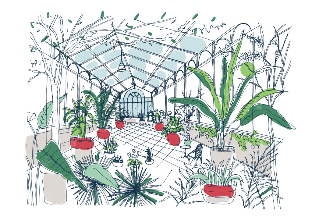 طراحی دست آزاد از داخلی باغ گیاه‌شناسی با گیاهان گرمسیری و شاخ و برگ سبز.