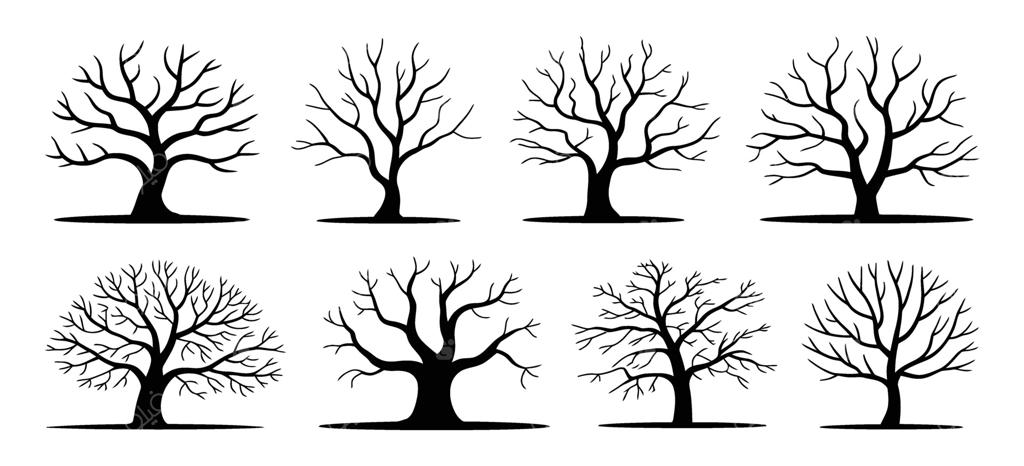 درختان برهنه در تاریکی با نورهای کم‌رنگ خورشید و سایه‌های تیره