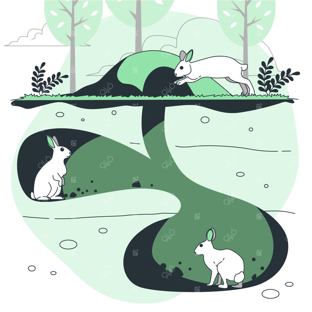 تصویر مفهومی لانه‌ خرگوش