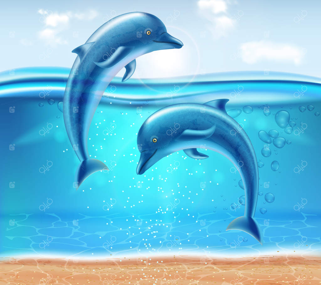 پرش دلفین‌ها