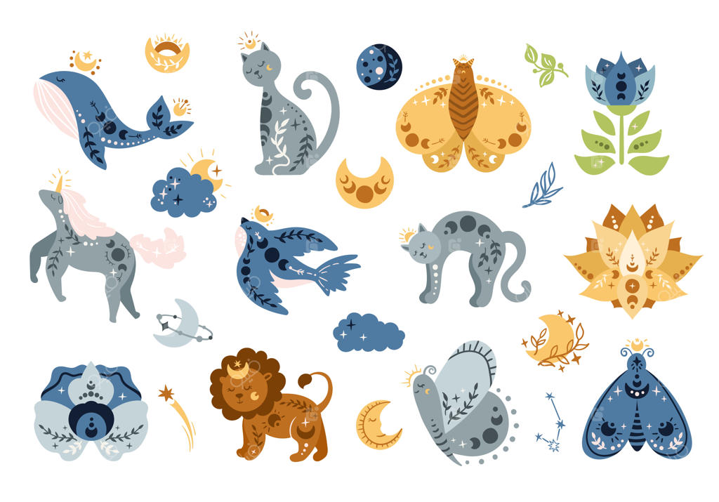 حیوانات بوهوی آسمانی