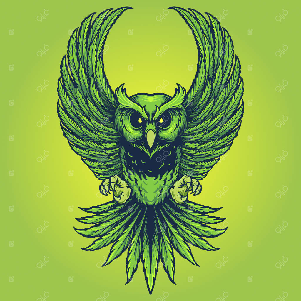 تصاویر وکتور برگ جغد کانابیس برای طراحی لوگو، لباس تیم، تی‌شرت، استیکر و برچسب، پوستر، کارت تبریک و تبلیغات برند یا شرکت شما.