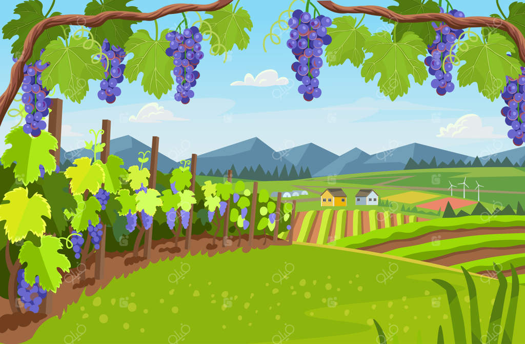 پس‌زمینه روستا با مزارع گلخانه‌ای و انگور در پیش‌زمینه منظره.