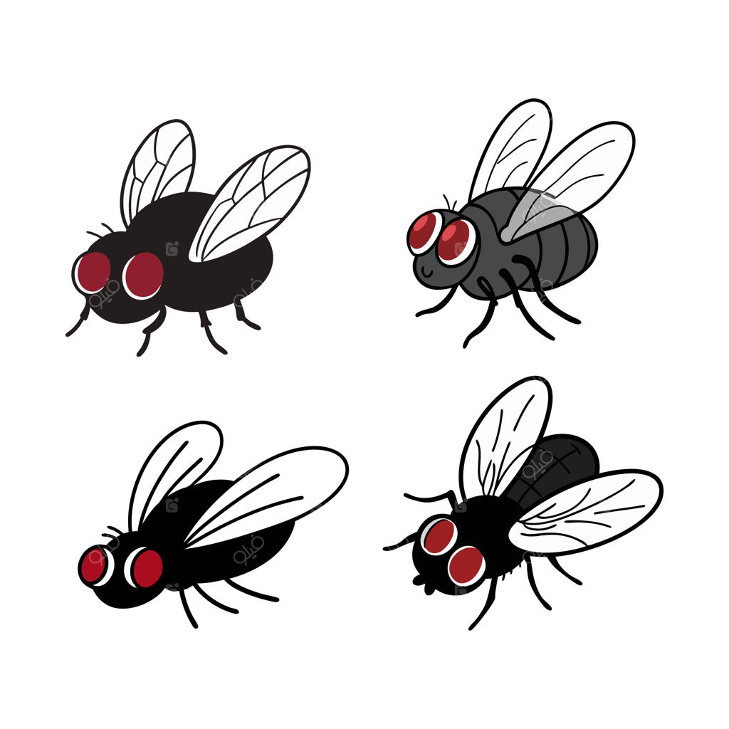 مگس بامزه و دوست‌داشتنی