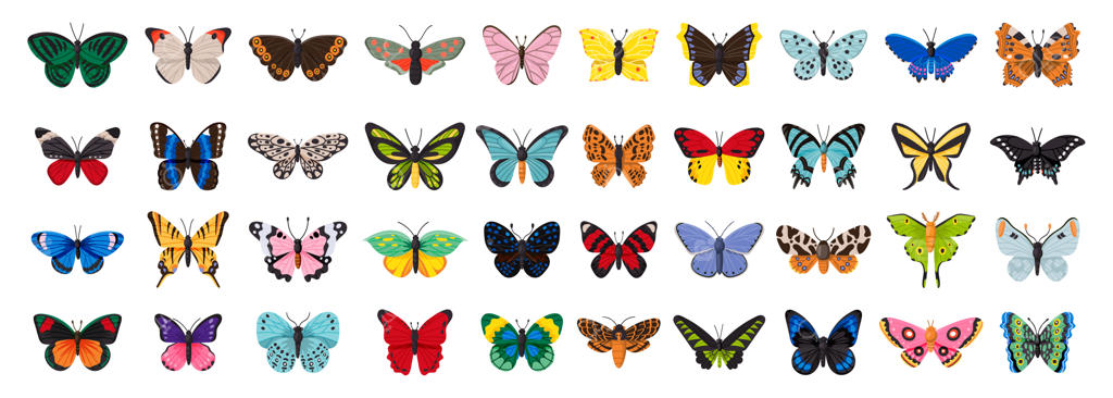 تصویرسازی پروانه با پس‌زمینه سفید؛ مجموعه آیکون‌های کارتونی و تزیینی پروانه به صورت جداگانه.