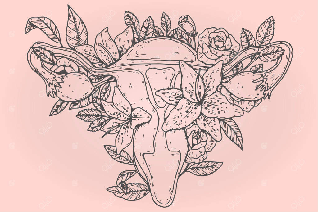 سیستم تولید مثل زنانه به رنگ صورتی