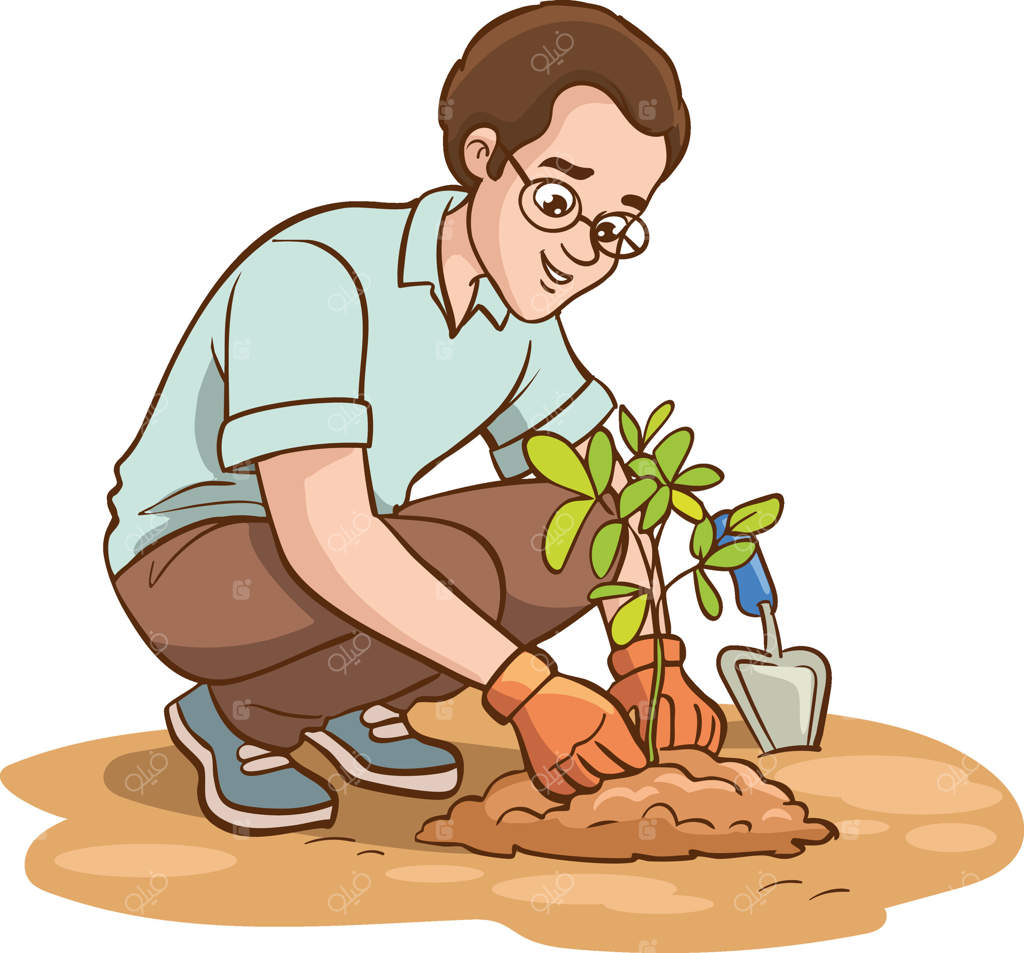 جوانی که گیاهان را در باغ می‌کارد. مفهوم باغبانی یا گلکاری. تصویر ساده.