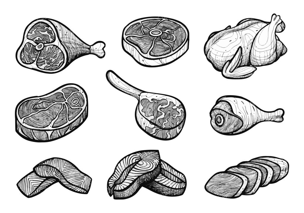 مجموعه تصویرسازی و طرح دستی گوشت گاو، مرغ و سالمون خام