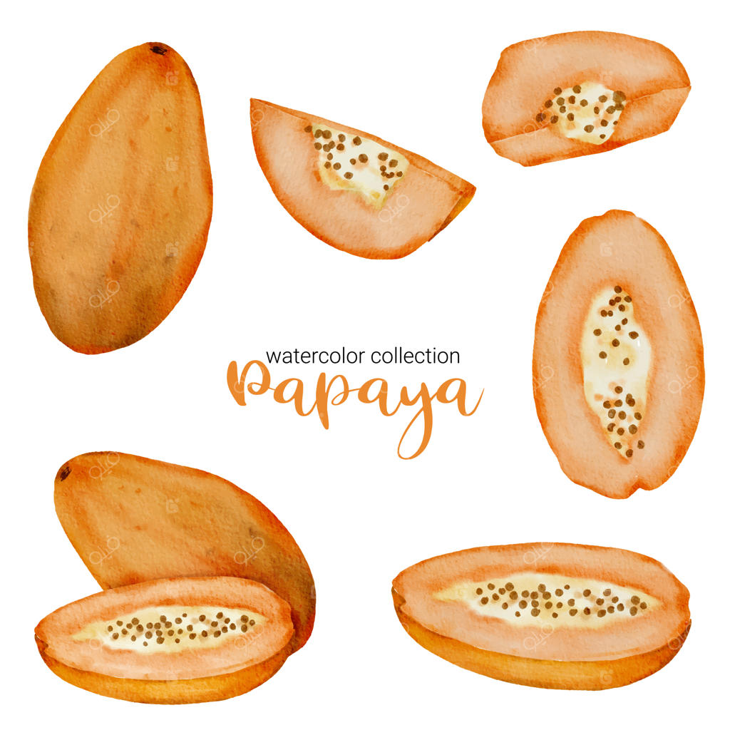 پاپایای رسیده در مجموعه آبرنگی میوه‌ها، کامل و نصف شده و برش‌خورده
