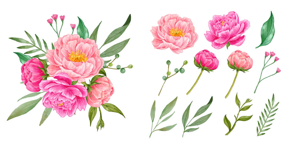 مجموعه گل صد تومانی دست‌کشیده و واقعی