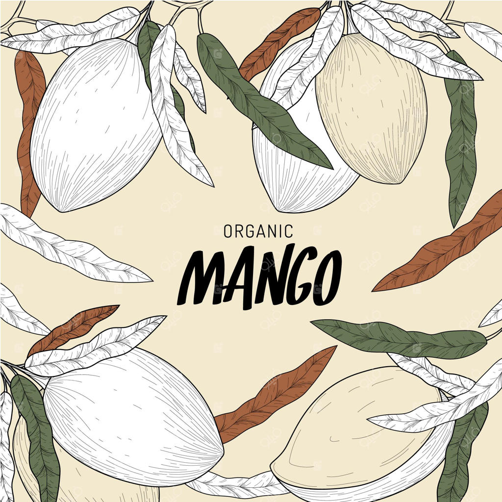 نمای نزدیک درخت انبه بوتانیکال