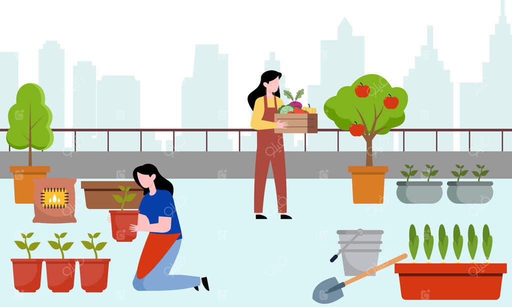 تصویر همکاری باغبانان و کشاورزان روی بام سبز