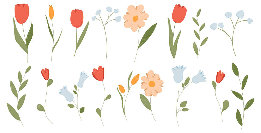 مجموعه گل‌های بهاری با عناصر جذاب گیاه و برگ. طرح‌های ساده تابستانی با نقاشی باغی. طراحی گرافیکی طبیعت با برگ‌های جدا، لاله، گل‌های وحشی و شاخه‌های مدرن بوتانیک.
