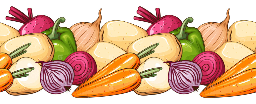 تصویرسازی زنده سبزیجات برای طراحی و کاربردهای آشپزی - وکتور حرفه‌ای