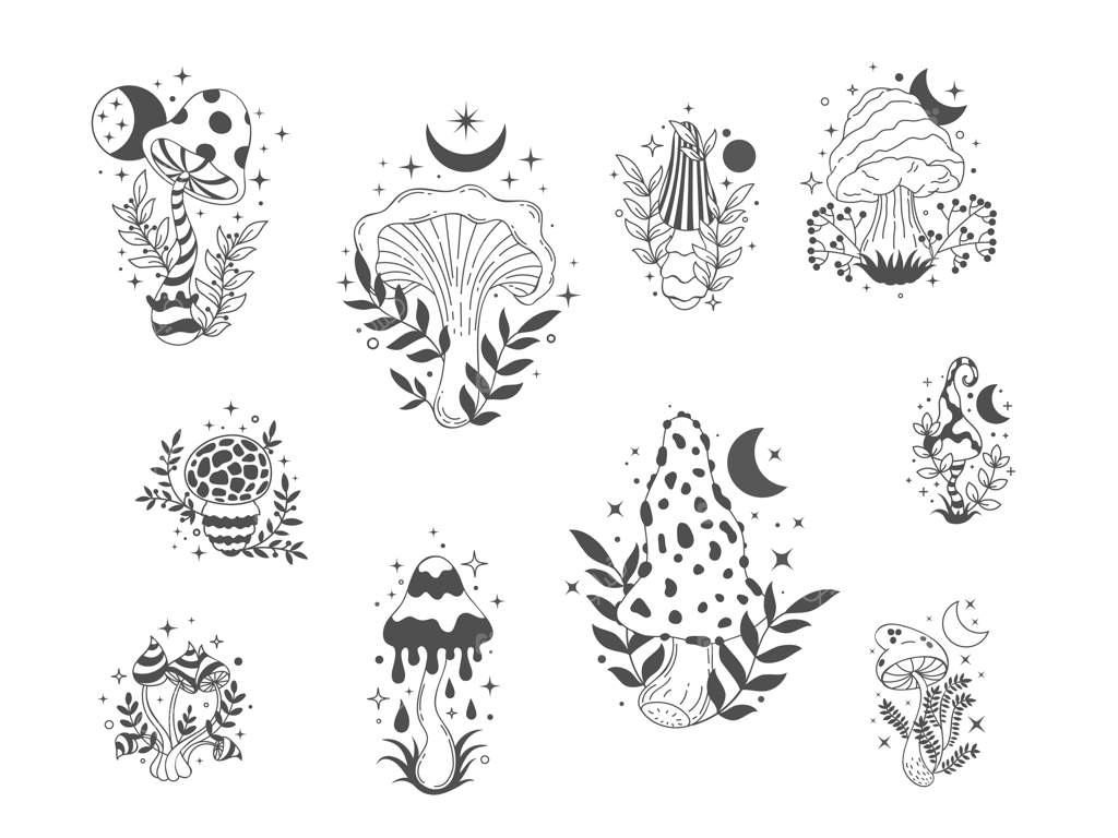 قارچ‌های بوهو: عناصر تزئینی اسراسرآمیز و جادویی شامل قارچ‌های جنگل عرفانی، کپک و آمانیتا