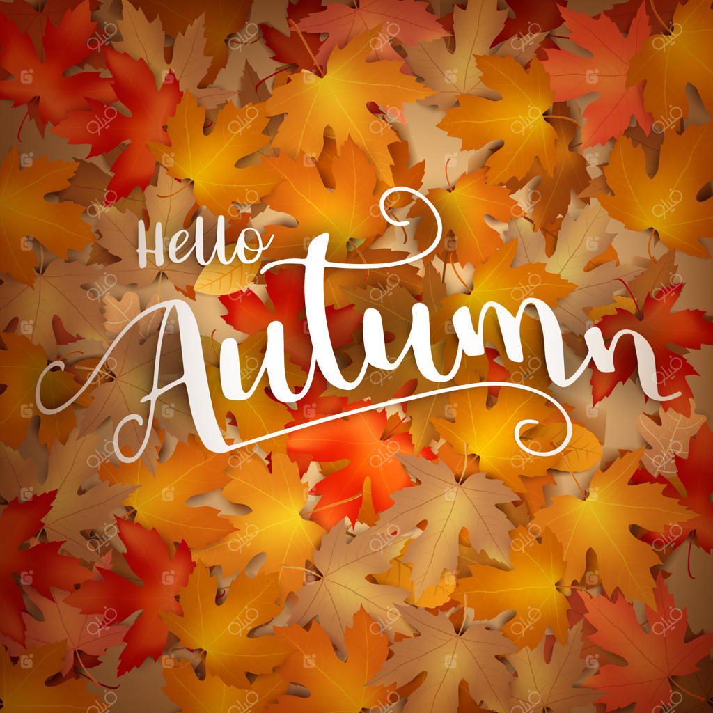 پس‌زمینه پاییزی با برگ‌های خشک در حال ریزش