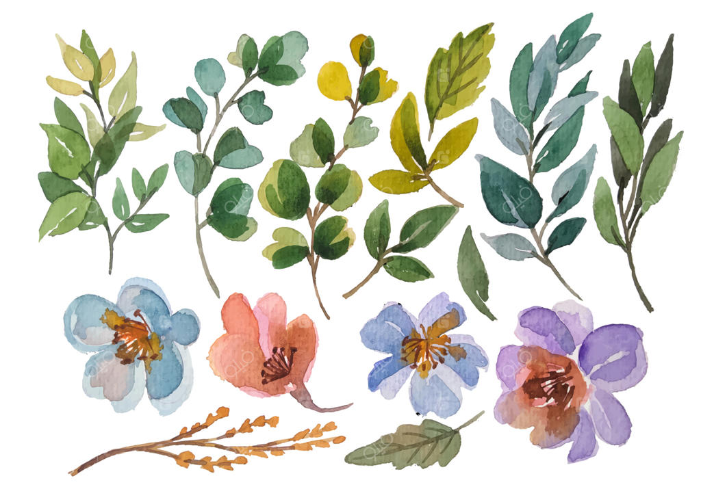 عناصر گل‌های آبرنگی به صورت کلیپ‌آرت