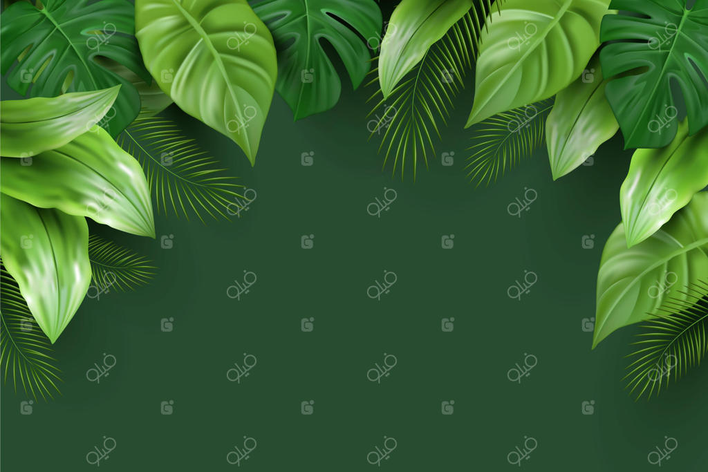 پس‌زمینه برگ‌های گرمسیری واقعی