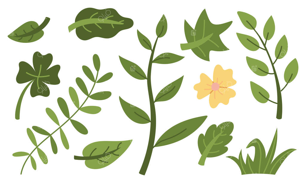 مجموعه‌ای از شاخه‌ها و برگ‌های سبز باغ. گل‌ها، بوته‌ها، شاخه‌ها، برگ‌ها، چمن. تصویرسازی تخت و جدا شده. سبزیجات در باغ. مناسب برای تزئین پروژه‌های کودکان و طبیعت، چاپ‌ها.