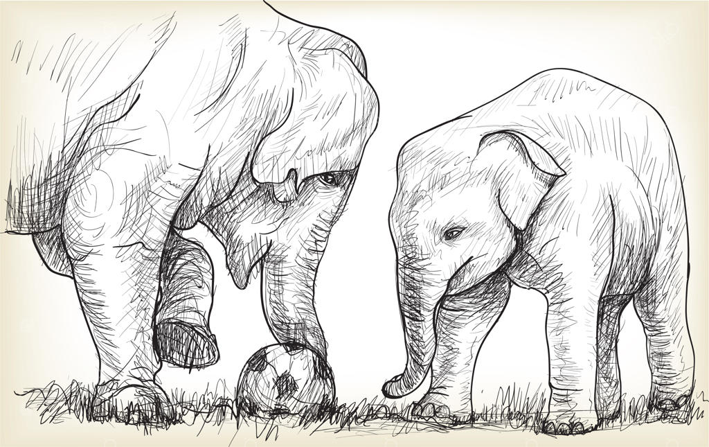 تصویر فیلی که فوتبال بازی می‌کند