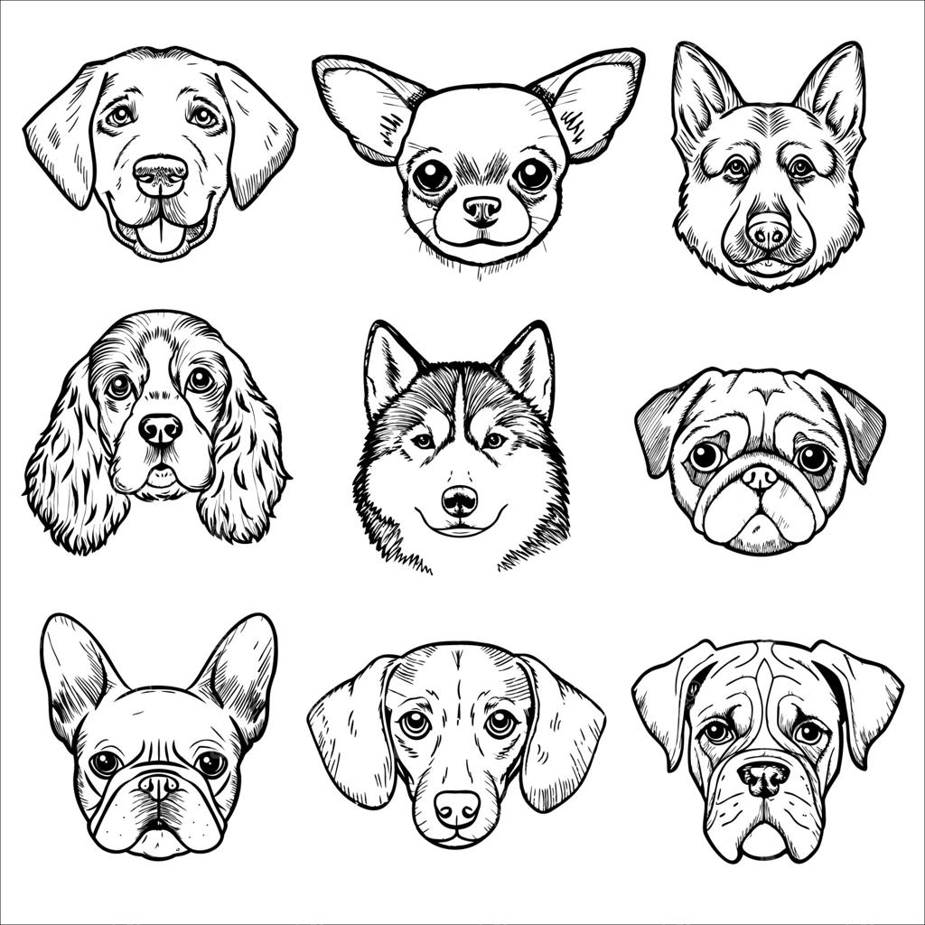 مجموعه‌ای از چهره‌های سگ به صورت شبکه‌ای. نژادها شامل لابرادور، شی هواهوا، ژرمن شپرد، کوکر اسپانیل، هاسکی سیبریایی، پاگ، بولداگ فرانسوی، داشهند، و باکسر.