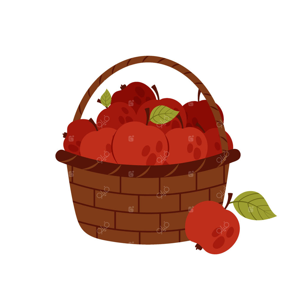 سبدی از سیب‌های رسیده. سیب قرمز به سبک تخت بر روی زمینه سفید. برداشت در باغ.