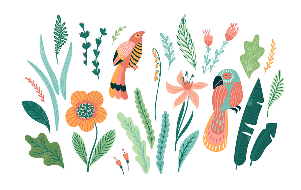 عناصر گرافیکی برداری از پرندگان و گیاهان گرمسیری: طراحی کلیپ‌آرت مجزا