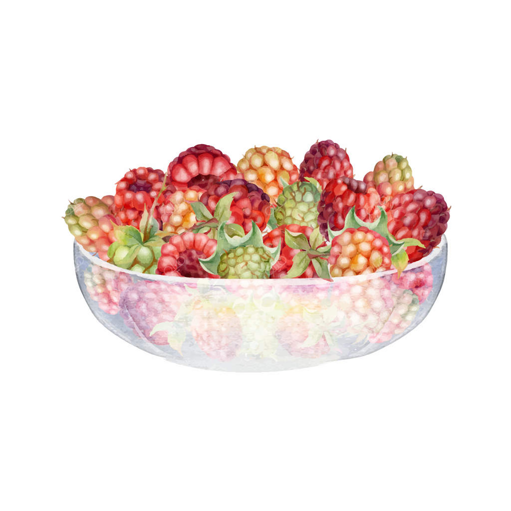 تمشک در کاسه شیشه‌ای، توت تازه از باغ: میوه‌های رامبوتان، تمشک آمریکایی، شاه‌توت، توت‌فرنگی مشکی، و بویسنبری. تصویرسازی جداگانه با آبرنگ، مناسب برای بازار کشاورزان و نگهداری مواد غذایی.