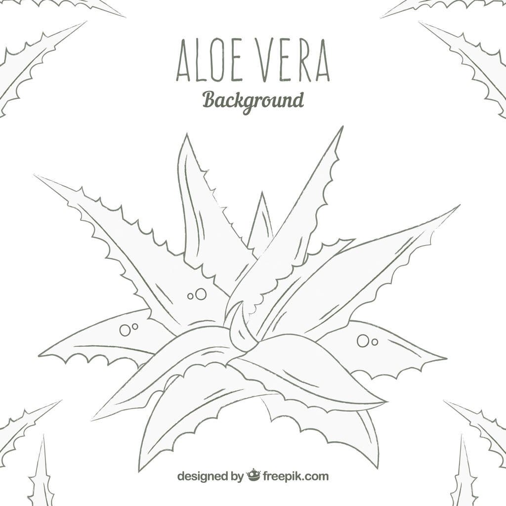 پیش‌زمینه نقاشی دستی آلوئه ورا