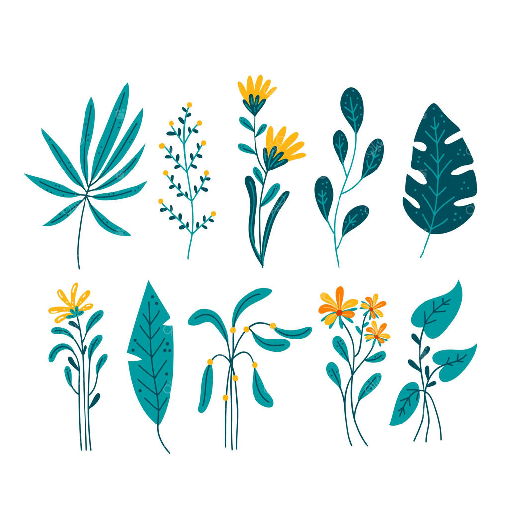 گل‌های استوایی با برگ‌ها روی زمینه سفید جدا شده‌اند