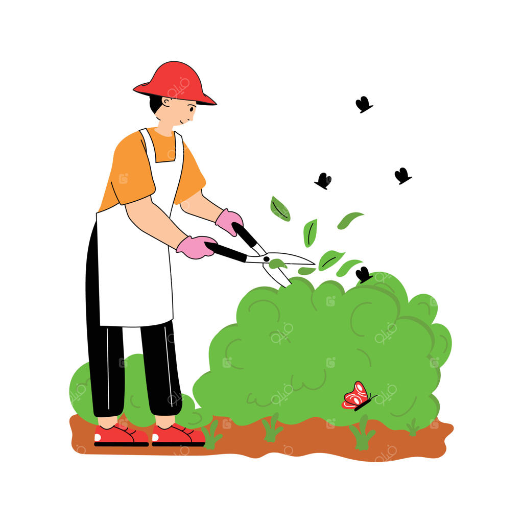 باغبان در حال هرس بوته‌ها در باغ، تصویر ساده‌ای از باغبانی