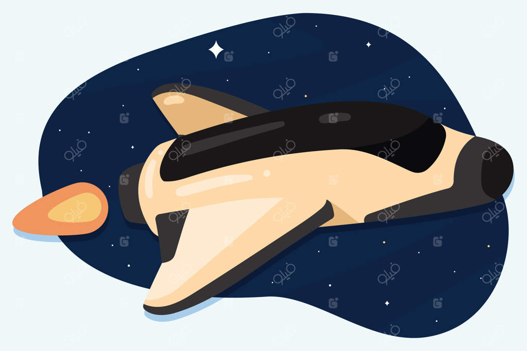 وسیله نقلیه فضایی و پرنده