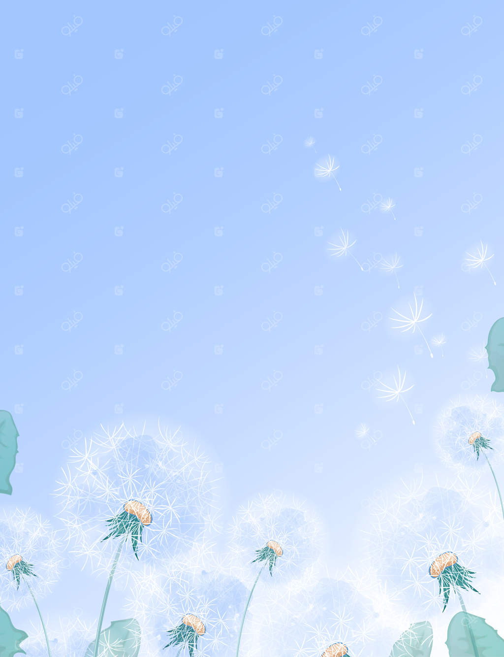 قالب مستطیلی عمودی با قاصدک‌های سفید در لبه پایین.