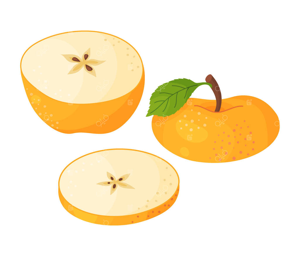 برش‌های سیب زرد رسیده، میوه تازه باغ. طراحی دستی تصویرسازی غذا. برش‌های سیب زرد تازه به سبک تخت بر روی زمینه شفاف. گلدن دلیشس.