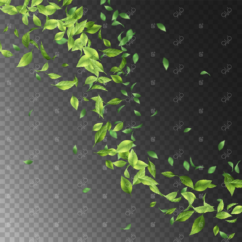 برگ‌های پرنده سبز