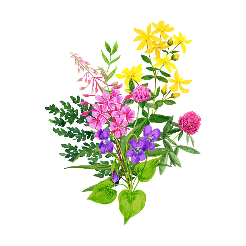 دسته‌گل گل‌های وحشی: شبدر و قاشقی